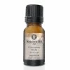 Cheapest ⭐ Nature's Oil Cinnamon Sticks Fragrance Oil (not skin safe) ⌛