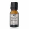 Buy 🤩 Nature's Oil Black Satin PF Fragrance Oil ⌛